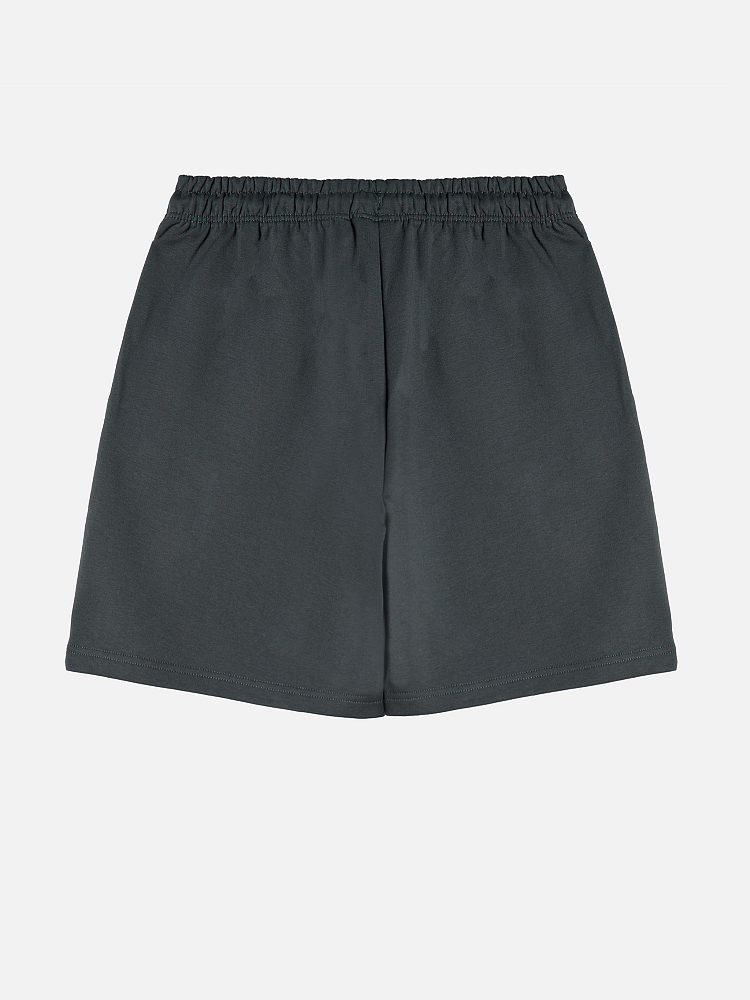 фото Мужские шорты essential light relaxed shorts the north face