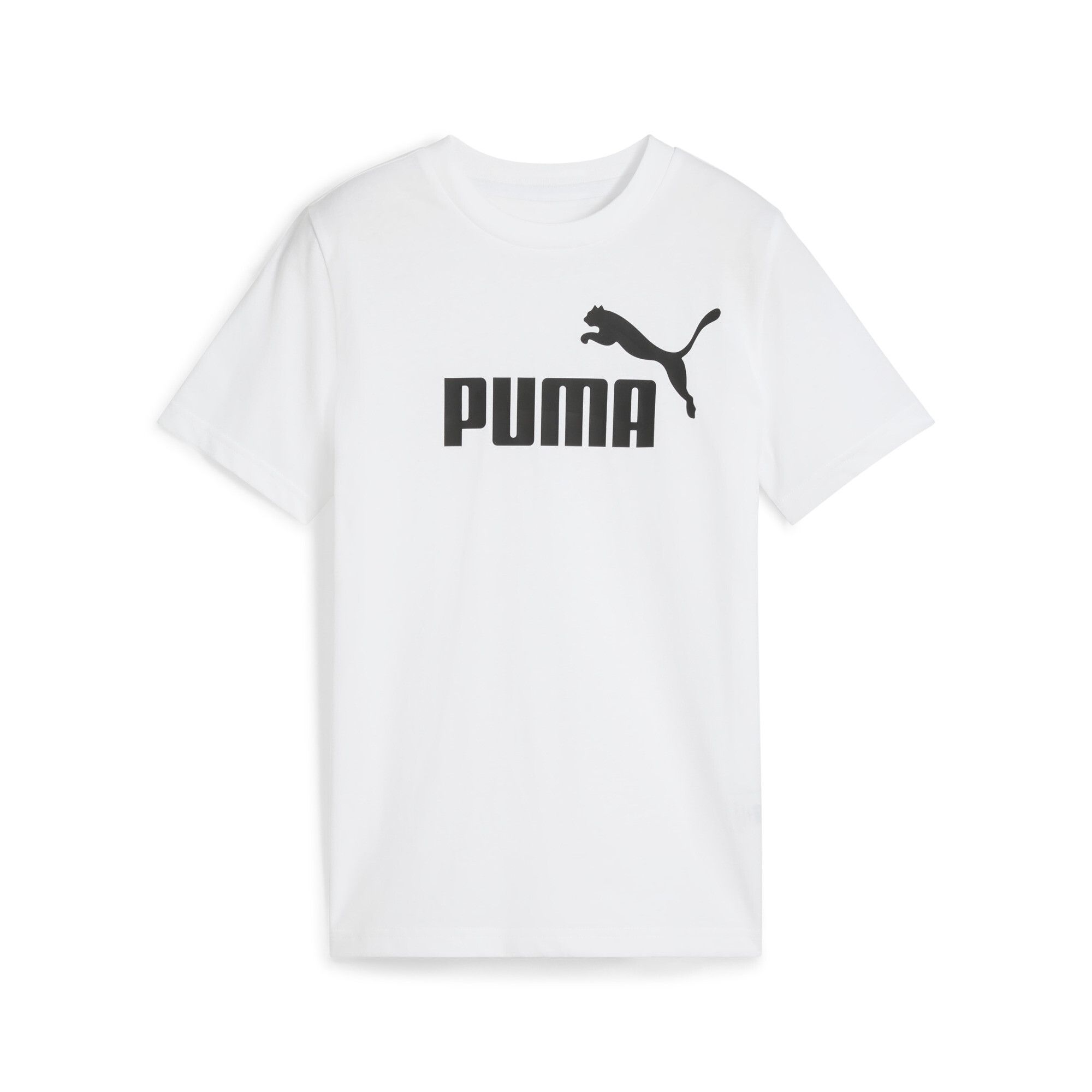 Детская футболка PUMA Essentials No.1 Logo Tee