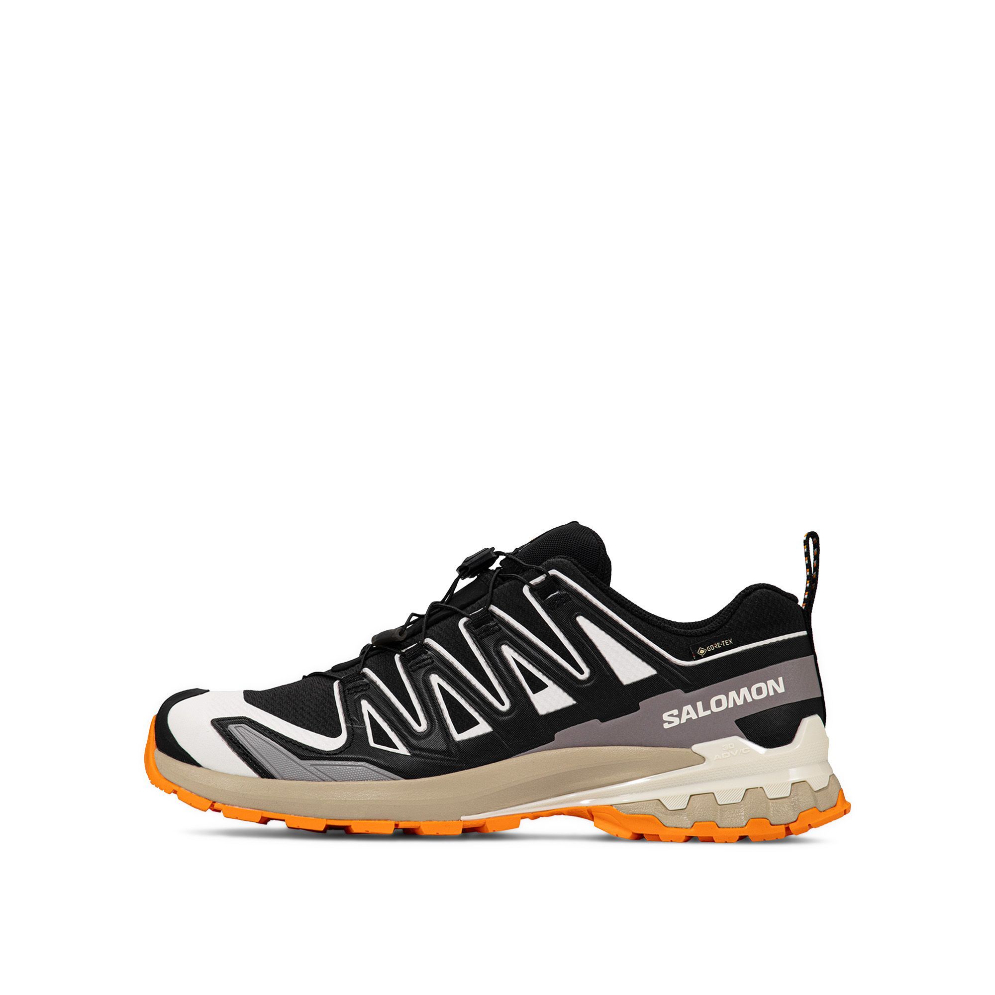 Мужские кроссовки XA Pro 3D V9 Gore-Tex Salomon