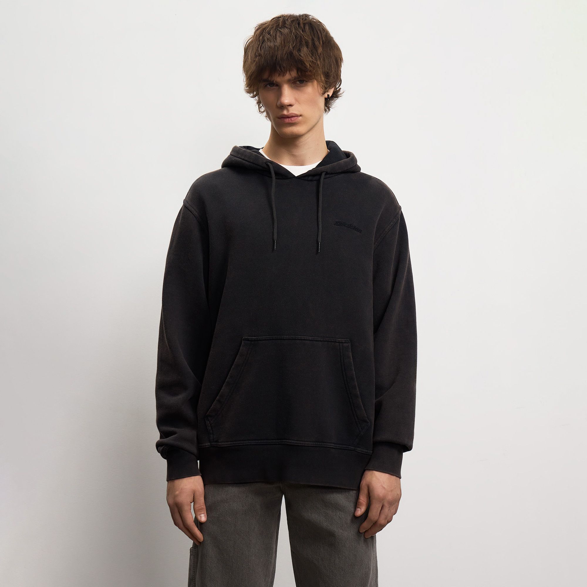 Мужская худи Plentywood Hoodie Dickies