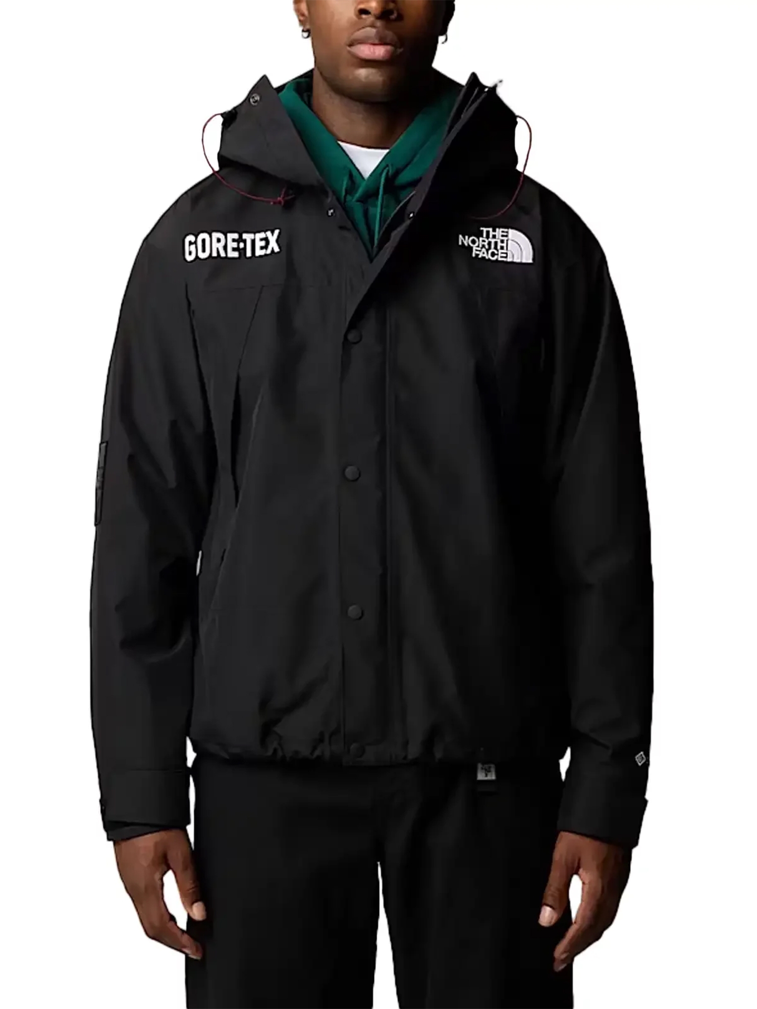 THE NORTH FACE ×GORE-TEXマウンテンカッパ ブラック Мужская ветровка The North Face Gore-Tex Mountain Jacket