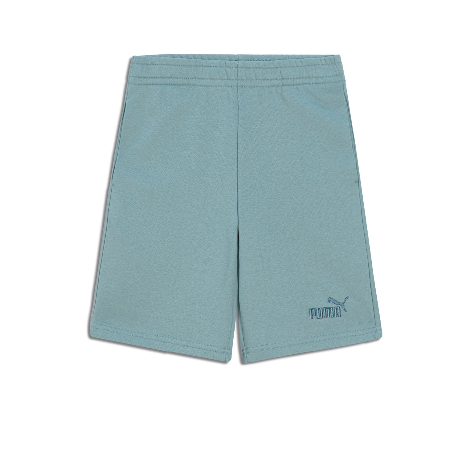 Подростковые шорты Essentials Small No.1 Logo Shorts Puma