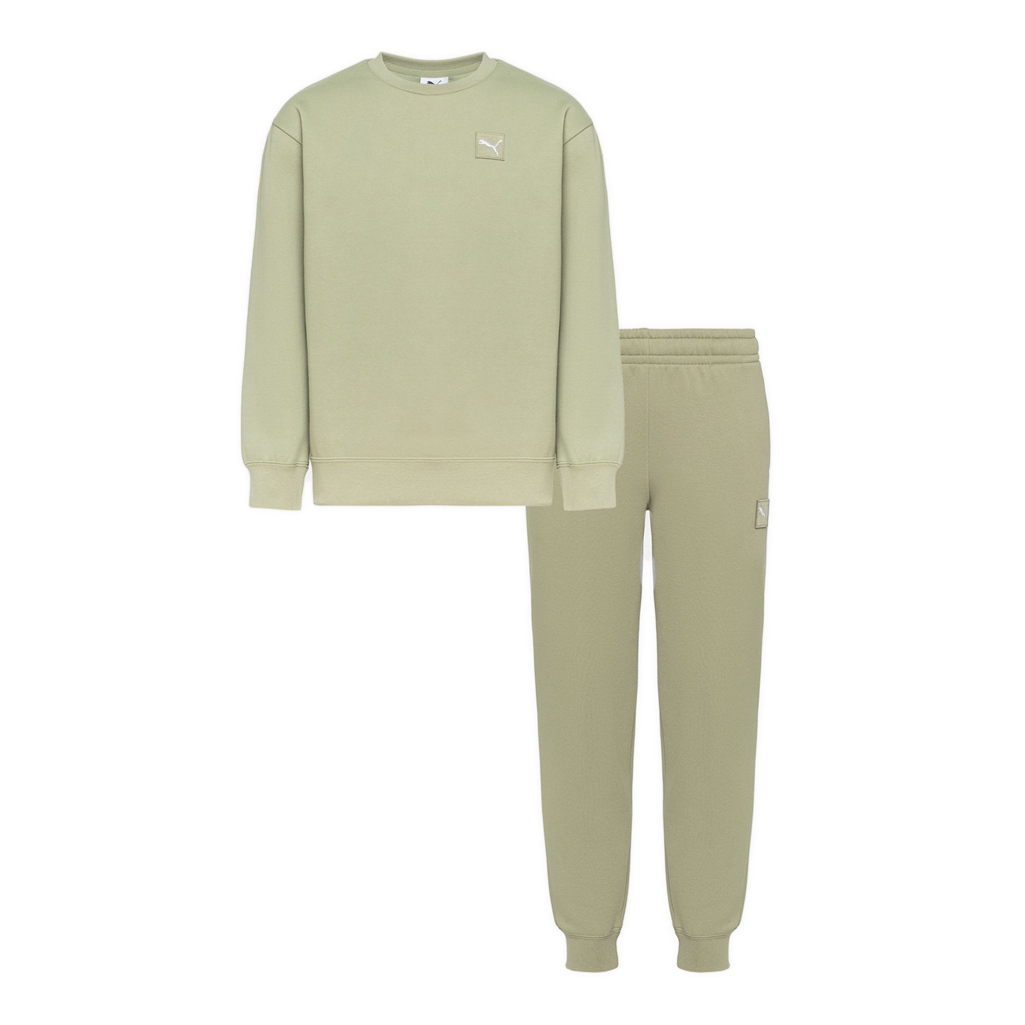 Подростковый костюм Essentials Elevated Relaxed Sweat Suit Puma