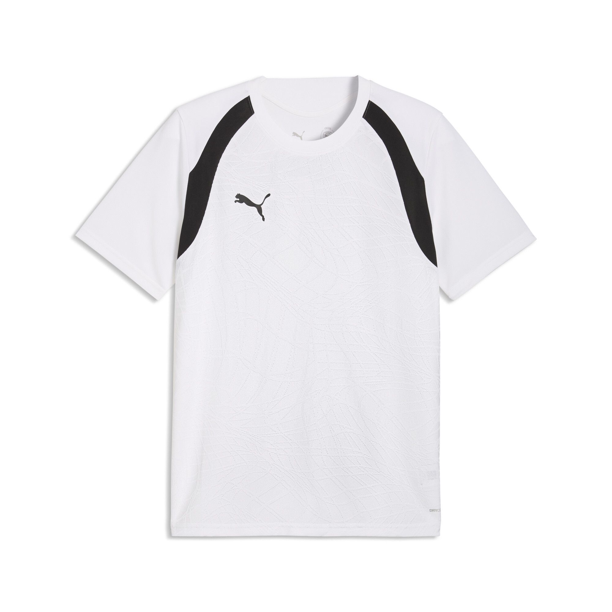 Мужская футболка PUMA teamFINAL26 Training Jersey