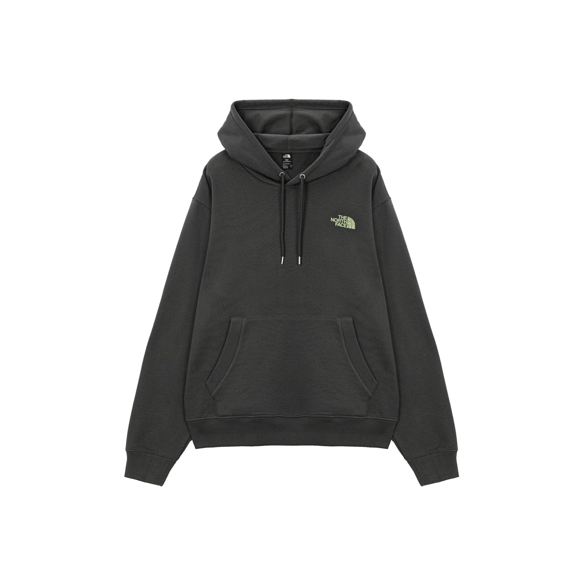 Худи NSE Slopes Relaxed Graphic Hoodie The North Face