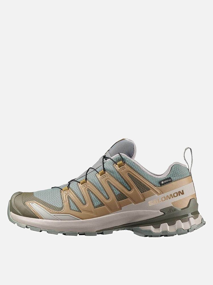 Мужские кроссовки XA Pro 3D V9 Gore-Tex Salomon