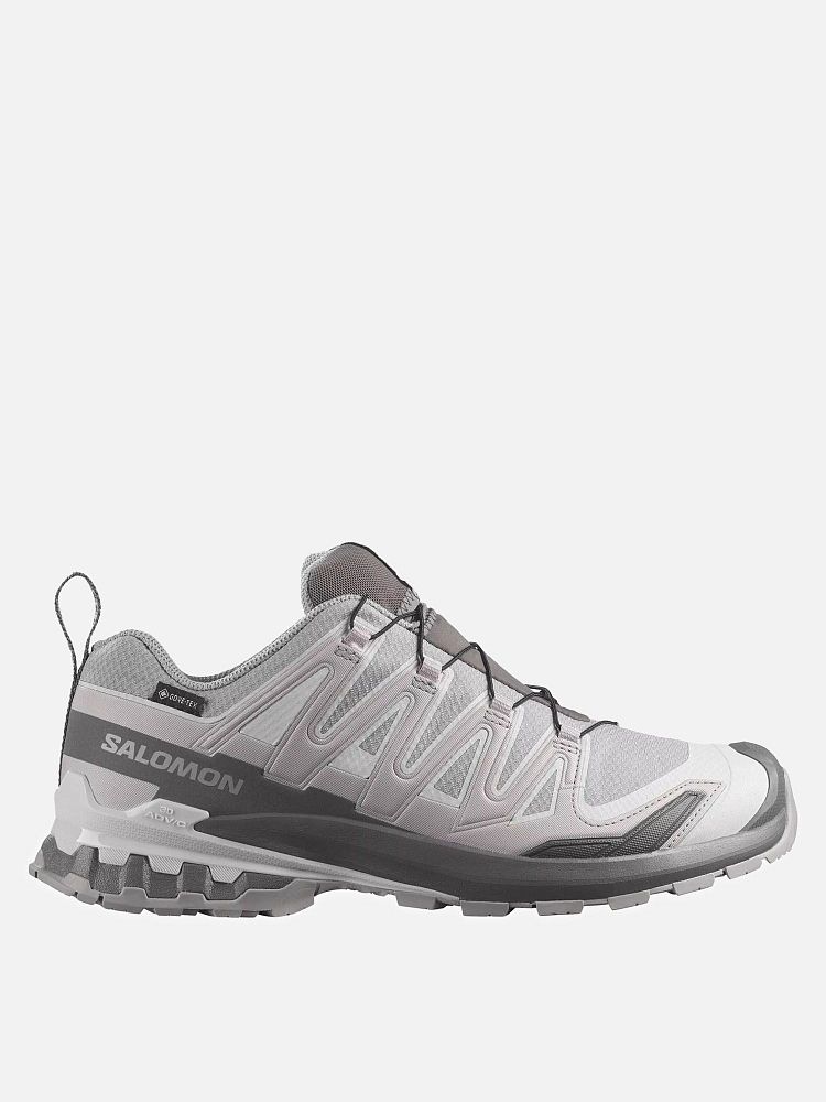 Мужские кроссовки XA Pro 3D V9 Gore-Tex Salomon